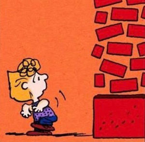 Meet your Posher, Sam